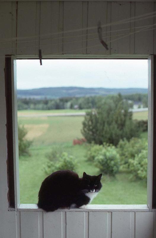 WT 3300 368-06 Norway Bliligaard.jpg